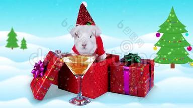 有趣的兔子在礼品盒附近用香槟杯庆祝<strong>欢呼声</strong>